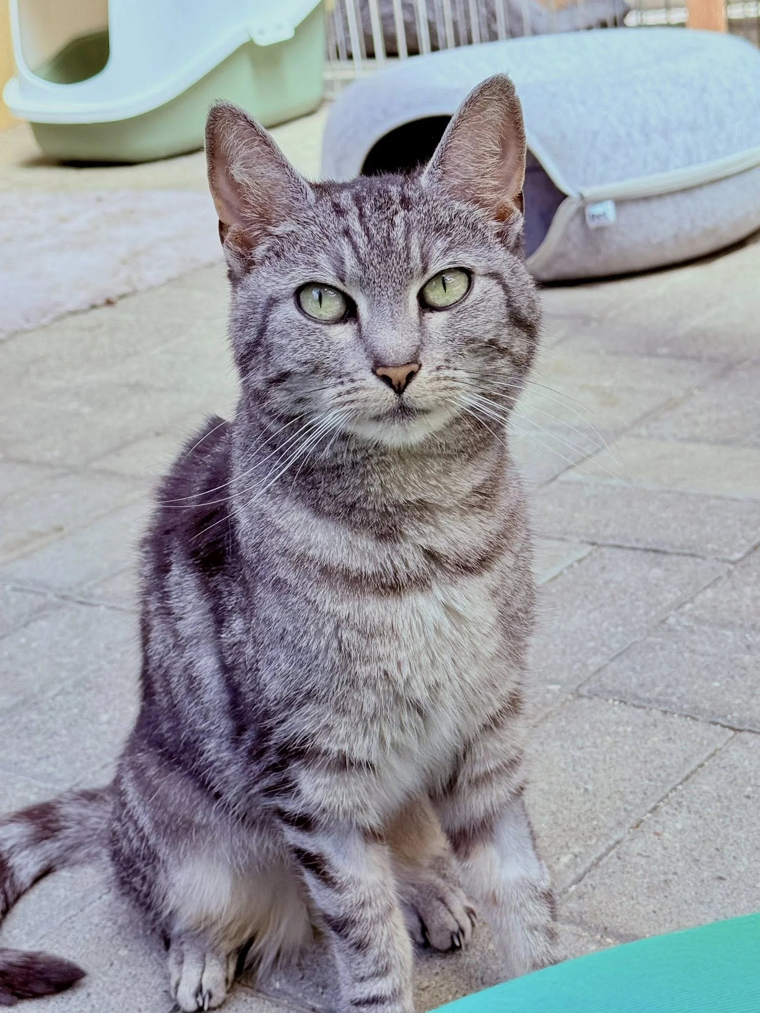Zdjęcie Bryza