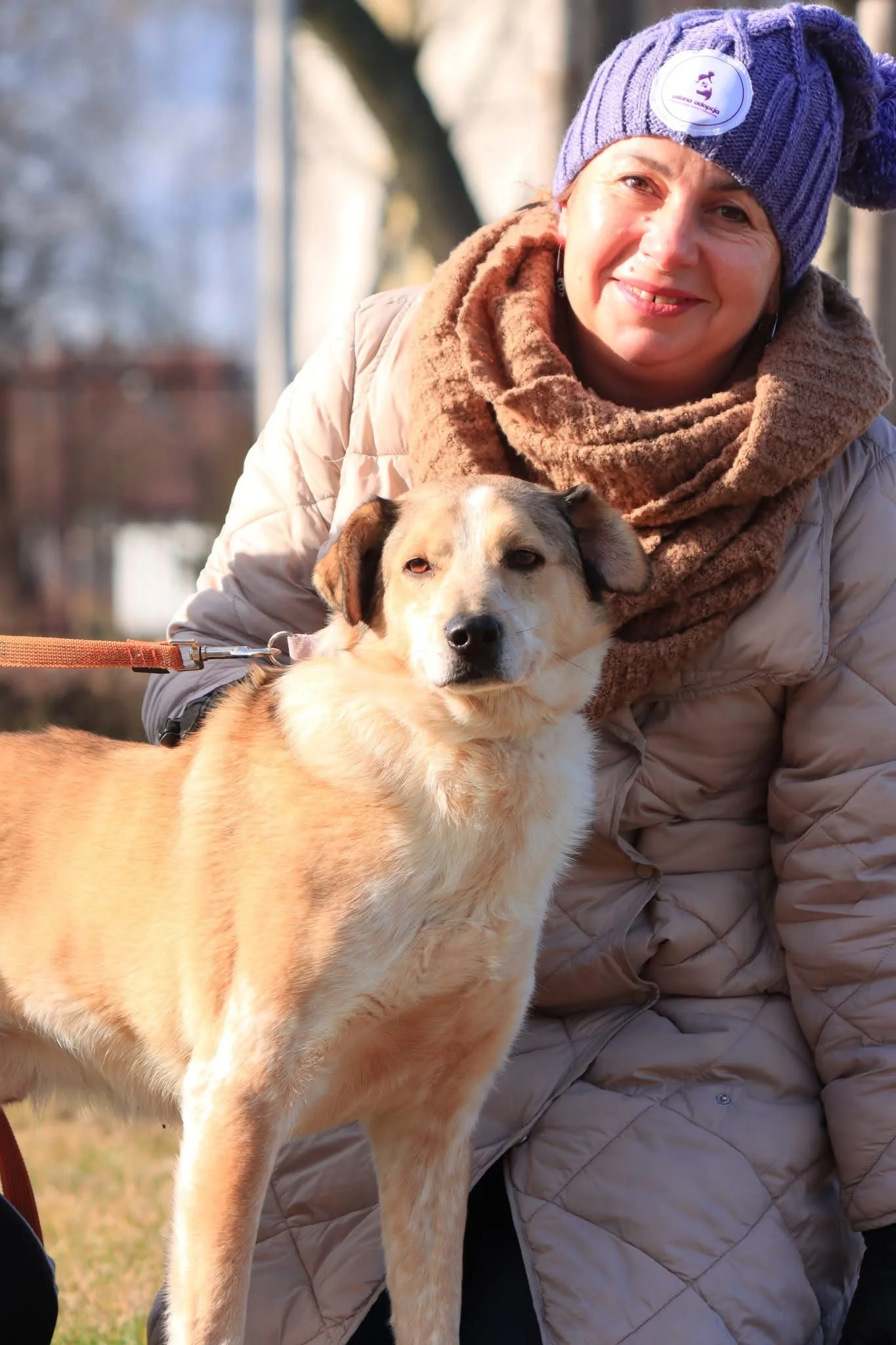 Zdjęcie Pongo