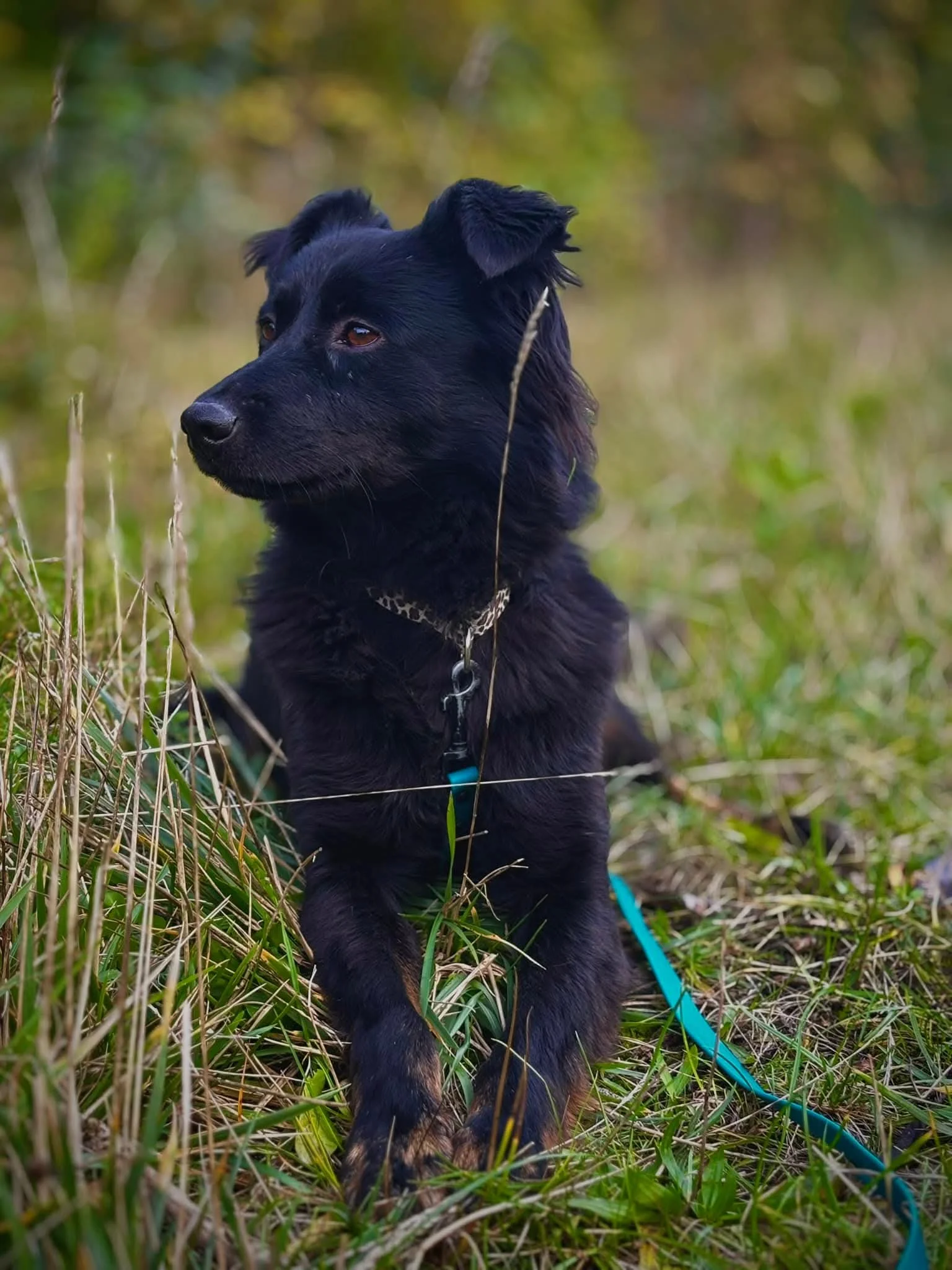 Zdjęcie Suzi