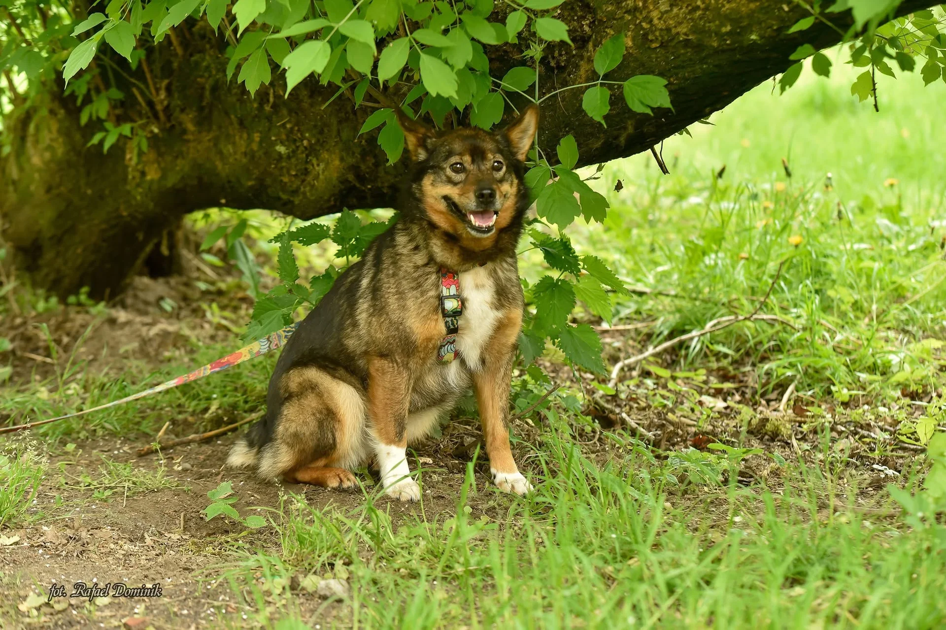 Zdjęcie Reda