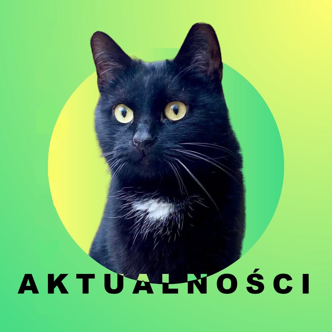Aktualności